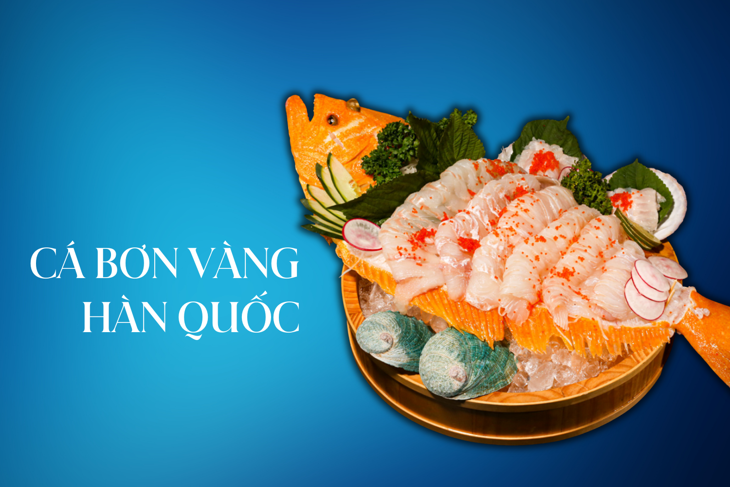 cá bơn vàng sashimi