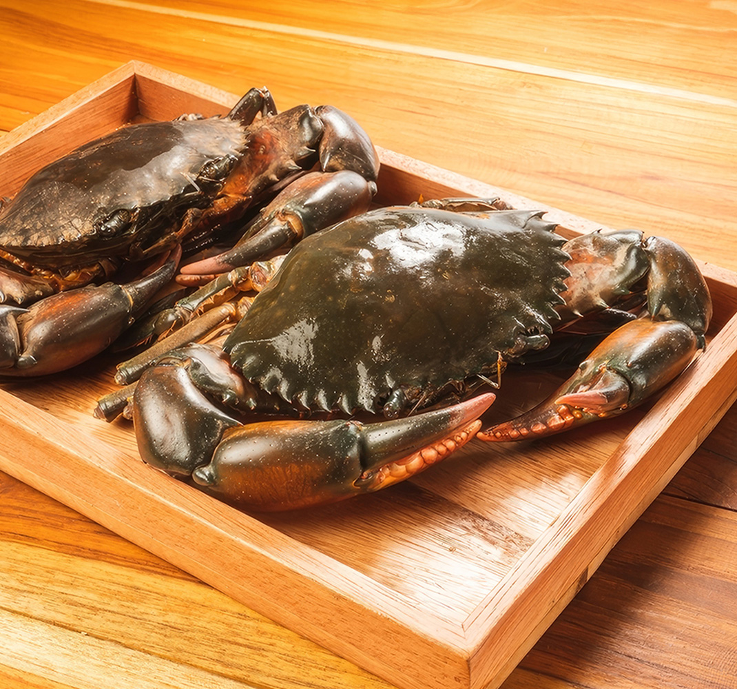 Cua Cà Mau sống tại RYL FOOD