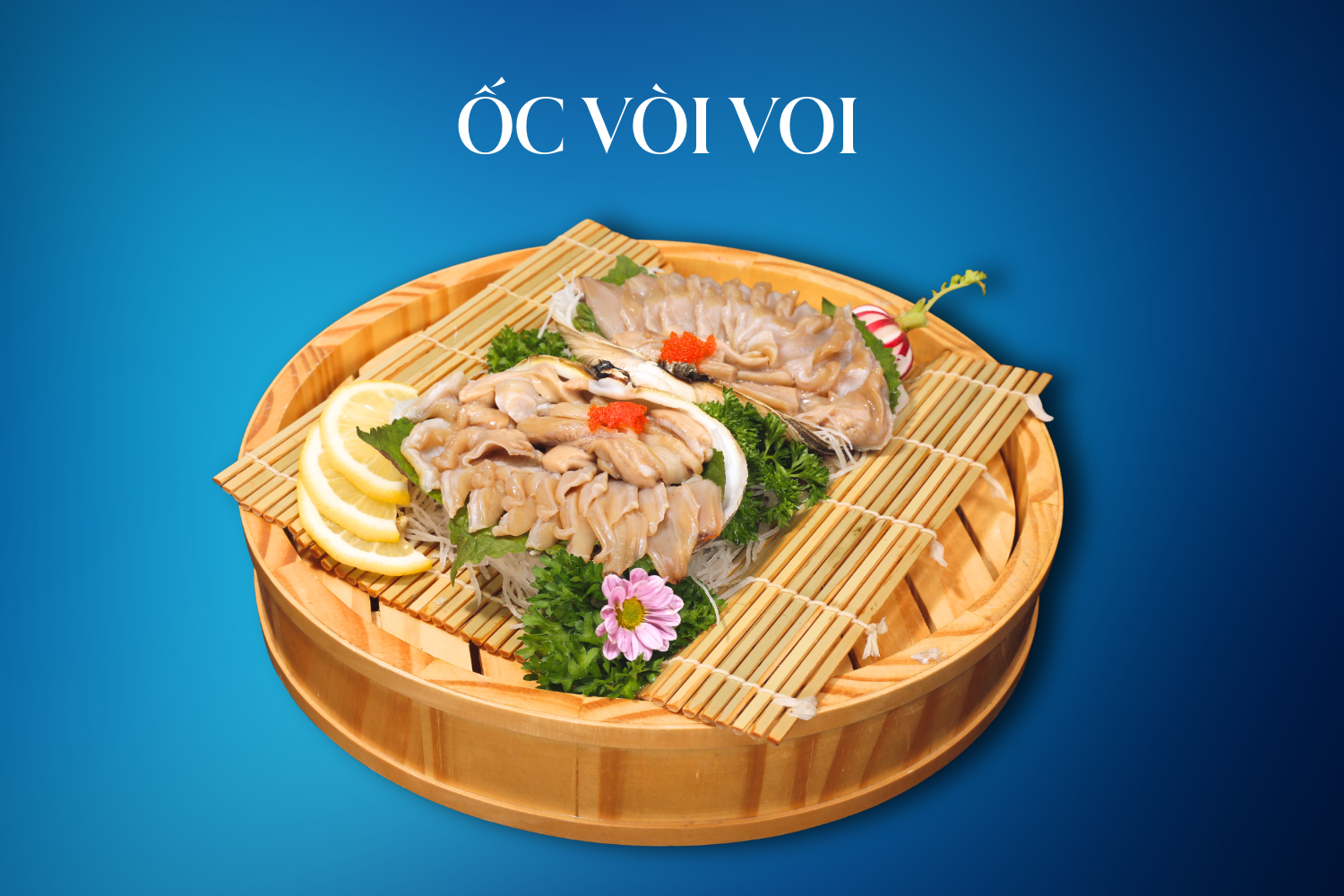 ốc vòi voi sashimi