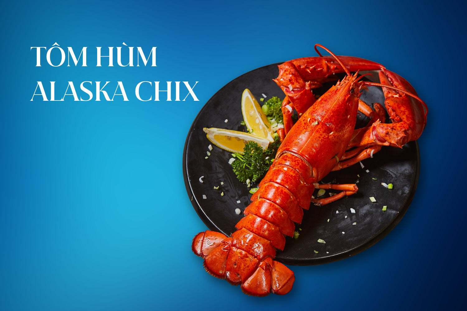 TÔM HÙM CANADA CHIX