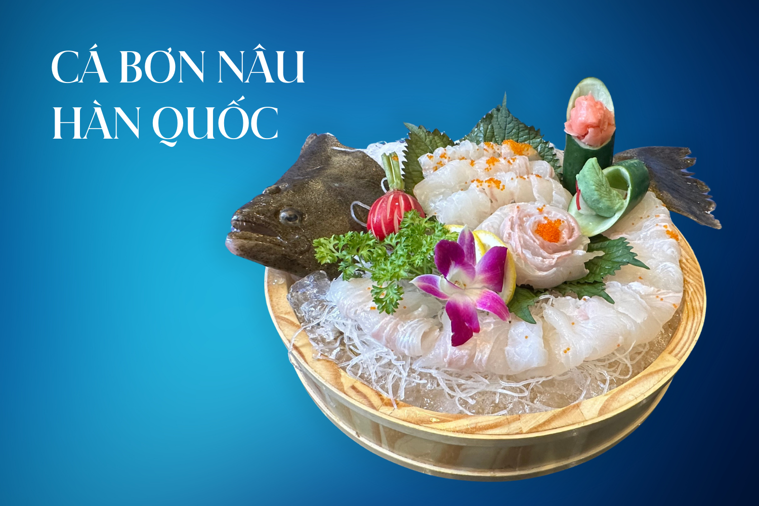 cá bơn nâu hàn quốc