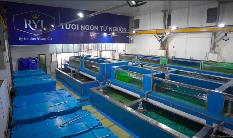 Hải sản đông lạnh giá sỉ: Kinh nghiệm chọn nguồn hàng ổn định cho nhà hàng, đại lý
