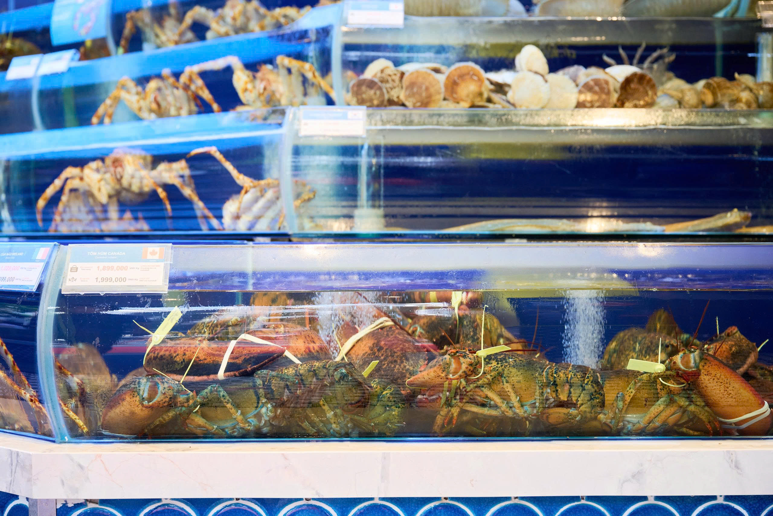 Giải pháp hồ bể 