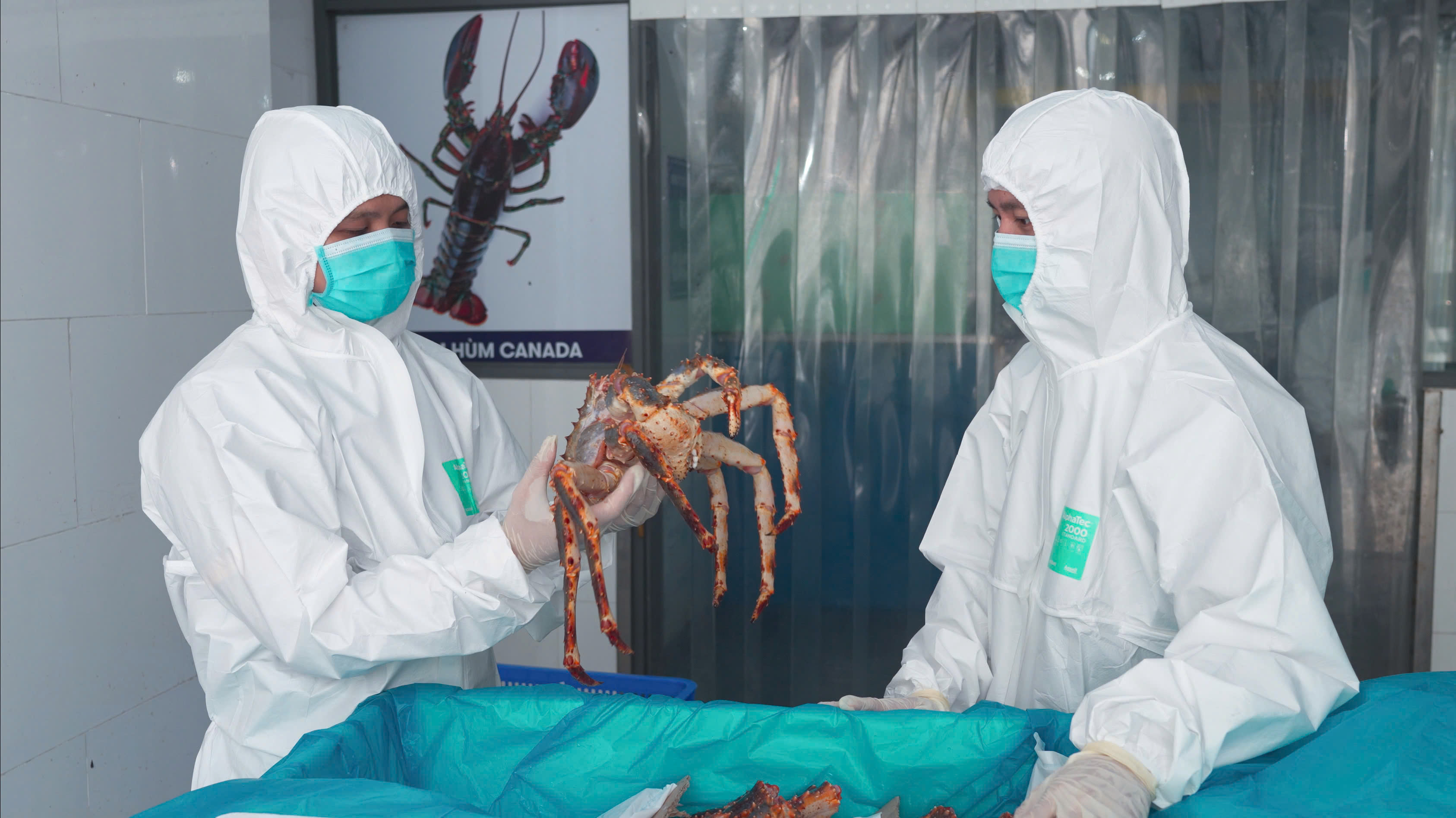 Chăm sóc hải sản 