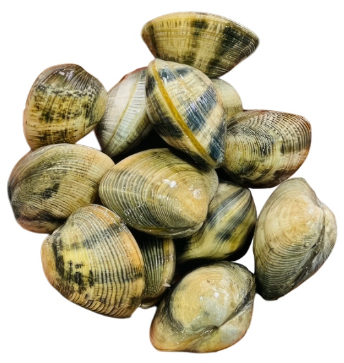 Sò Mía Thiên Nhiên