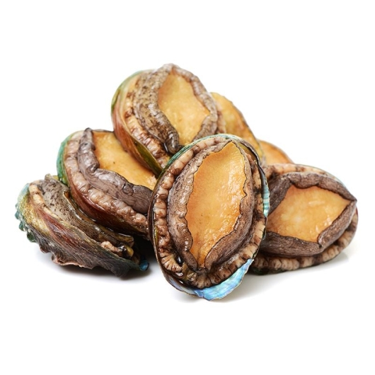 Bào Ngư Hàn Quốc