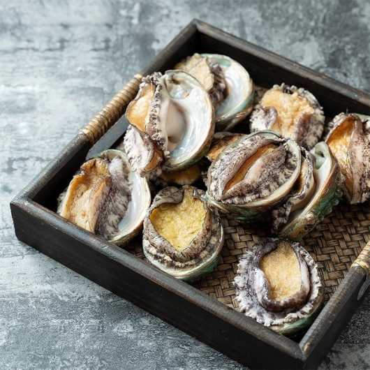 bào ngư hàn quốc tươi sống