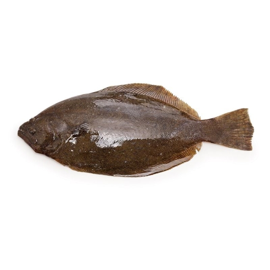 Cá Bơn Nâu Hàn Quốc