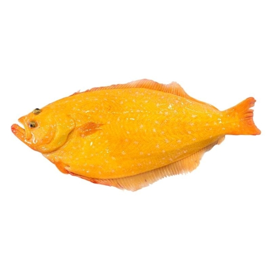 Cá Bơn Vàng Hàn Quốc