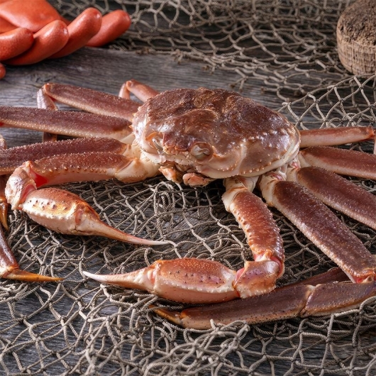 rylfood.thietkeweb.ai