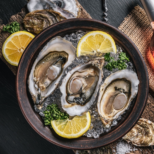 Hàu Canada - Sống