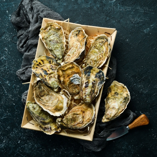 rylfood.thietkeweb.ai