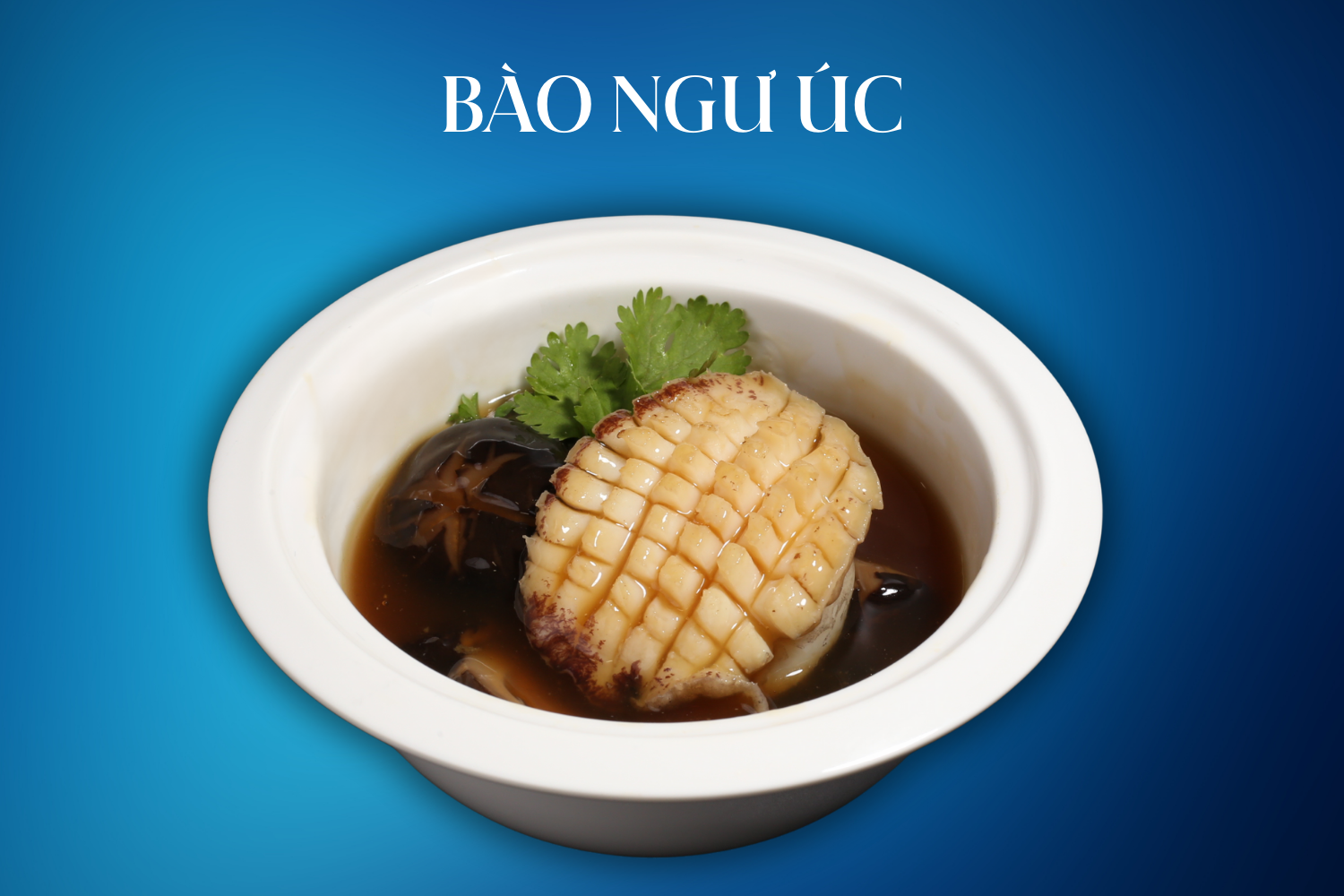 súp bào ngư úc